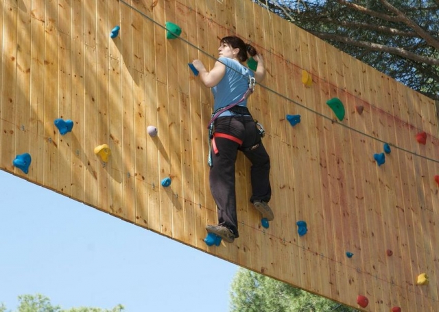 Pared de escalada entre los arboles
